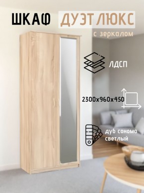 Шкаф 2-х створчатый Дуэт Люкс с зеркалом в Нижнекамске - nizhnekamsk.mebel24.online | фото 7