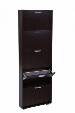 Шкаф для обуви УК-5 10000130 в Нижнекамске - nizhnekamsk.mebel24.online | фото