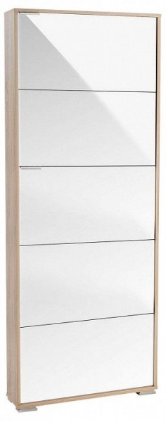 Шкаф для обуви Viva-5LW в Нижнекамске - nizhnekamsk.mebel24.online | фото