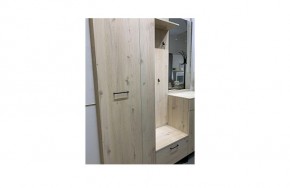 Шкаф для одежды 2-х дверный София 1 в Нижнекамске - nizhnekamsk.mebel24.online | фото 4