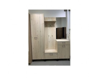 Шкаф для одежды 2-х дверный София 1 в Нижнекамске - nizhnekamsk.mebel24.online | фото 6