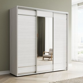 Шкаф-купе Акцент-Лайт ДЗ 1500-600 в Нижнекамске - nizhnekamsk.mebel24.online | фото 3