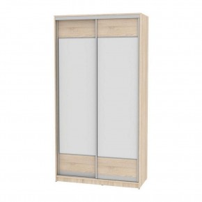 Шкаф-купе B-220х120х60-2 "Белла" (D8D8) в Нижнекамске - nizhnekamsk.mebel24.online | фото
