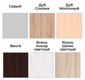 Шкаф-купе ХИТ 22-17-66 (620) в Нижнекамске - nizhnekamsk.mebel24.online | фото 3