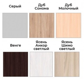 Шкаф-купе ХИТ 22-4-17-55 (420) в Нижнекамске - nizhnekamsk.mebel24.online | фото 3