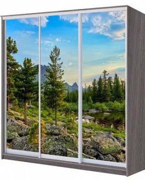 Шкаф-купе ХИТ 22-4-18/2-777 ПРИРОДА в Нижнекамске - nizhnekamsk.mebel24.online | фото