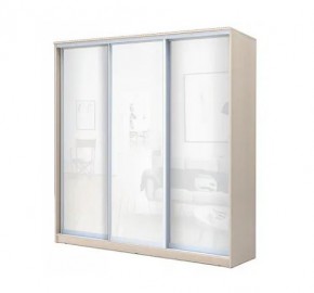 Шкаф-купе ХИТ 22-4-20-888 (420) в Нижнекамске - nizhnekamsk.mebel24.online | фото 4