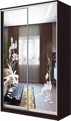 Шкаф-купе ХИТ 23-17-66 ЦАПЛИ в Нижнекамске - nizhnekamsk.mebel24.online | фото