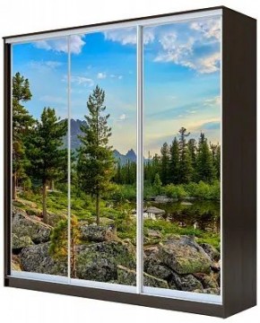 Шкаф-купе ХИТ 23-20-777 ПРИРОДА в Нижнекамске - nizhnekamsk.mebel24.online | фото