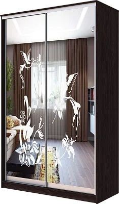 Шкаф-купе ХИТ 23-4-12/2-66 КОЛИБРИ в Нижнекамске - nizhnekamsk.mebel24.online | фото