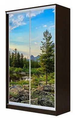 Шкаф-купе ХИТ 23-4-12-77 ПРИРОДА в Нижнекамске - nizhnekamsk.mebel24.online | фото