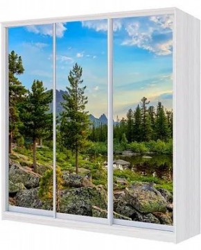 Шкаф-купе ХИТ 23-4-20/2-777 ПРИРОДА в Нижнекамске - nizhnekamsk.mebel24.online | фото