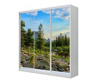 Шкаф-купе ХИТ 23-4-20-777 (420) в Нижнекамске - nizhnekamsk.mebel24.online | фото