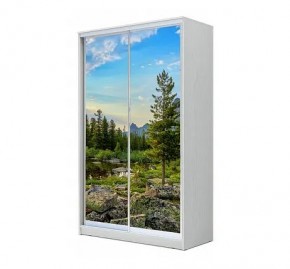 Шкаф-купе ХИТ 24-12/2-77 (620) в Нижнекамске - nizhnekamsk.mebel24.online | фото