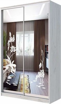 Шкаф-купе ХИТ 24-14-66 ЦАПЛИ в Нижнекамске - nizhnekamsk.mebel24.online | фото