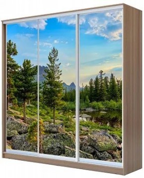 Шкаф-купе ХИТ 24-18-777 ПРИРОДА в Нижнекамске - nizhnekamsk.mebel24.online | фото
