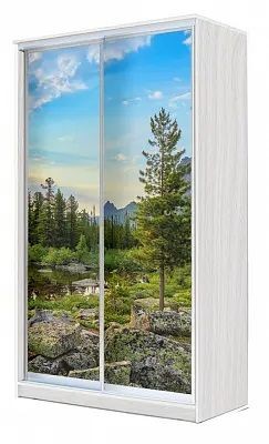 Шкаф-купе ХИТ 24-4-15-77 ПРИРОДА в Нижнекамске - nizhnekamsk.mebel24.online | фото