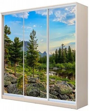 Шкаф-купе ХИТ 24-4-20-777 ПРИРОДА в Нижнекамске - nizhnekamsk.mebel24.online | фото
