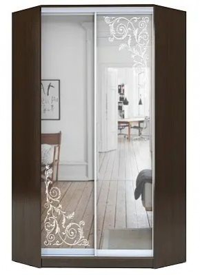 Шкаф-купе ХИТ-У-R-22-64-66 ОРНАМЕНТ в Нижнекамске - nizhnekamsk.mebel24.online | фото