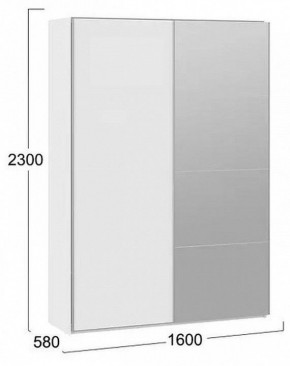 Шкаф-купе Траст в Нижнекамске - nizhnekamsk.mebel24.online | фото 3