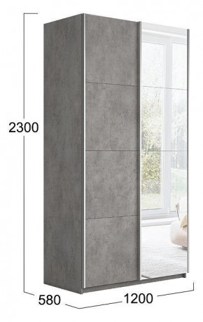Шкаф-купе Траст СШК 2.120.60-11.13 в Нижнекамске - nizhnekamsk.mebel24.online | фото 3