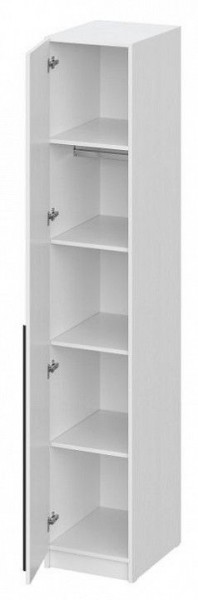 Шкаф платяной Бирма ШК-400 в Нижнекамске - nizhnekamsk.mebel24.online | фото 2