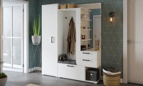 Шкаф платяной Эрика в Нижнекамске - nizhnekamsk.mebel24.online | фото 3