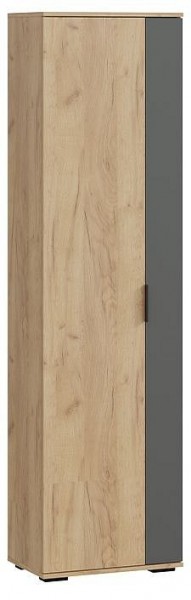 Шкаф платяной Эвита в Нижнекамске - nizhnekamsk.mebel24.online | фото
