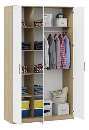 Шкаф платяной Сэнди в Нижнекамске - nizhnekamsk.mebel24.online | фото 3