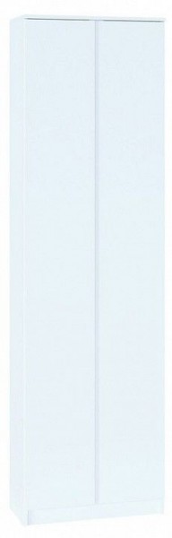 Шкаф платяной ШО-4 в Нижнекамске - nizhnekamsk.mebel24.online | фото