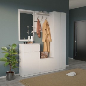 Шкаф платяной ШО-4 в Нижнекамске - nizhnekamsk.mebel24.online | фото 6