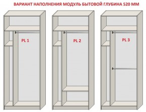 Шкаф распашной серия «ЗЕВС» (PL3/С1/PL2) Серый камень/Небраска натуральный в Нижнекамске - nizhnekamsk.mebel24.online | фото 5