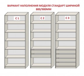 Шкаф распашной серия «ЗЕВС» (PL3/С1/PL2) Серый камень/Небраска натуральный в Нижнекамске - nizhnekamsk.mebel24.online | фото 6