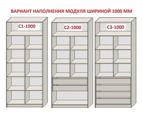 Шкаф распашной серия «ЗЕВС» (PL3/С1/PL2) Серый камень/Небраска натуральный в Нижнекамске - nizhnekamsk.mebel24.online | фото 7
