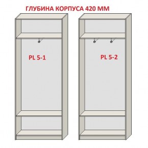 Шкаф распашной серия «ЗЕВС» (PL3/С1/PL2) Серый камень/Небраска натуральный в Нижнекамске - nizhnekamsk.mebel24.online | фото 8