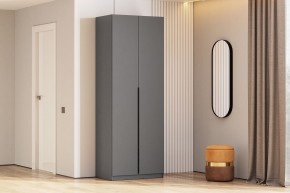 Шкаф ШК-5 + 2 полки (800) Графит серый в Нижнекамске - nizhnekamsk.mebel24.online | фото 2