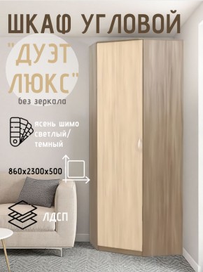 Шкаф угловой Дуэт Люкс без зеркала в Нижнекамске - nizhnekamsk.mebel24.online | фото 7