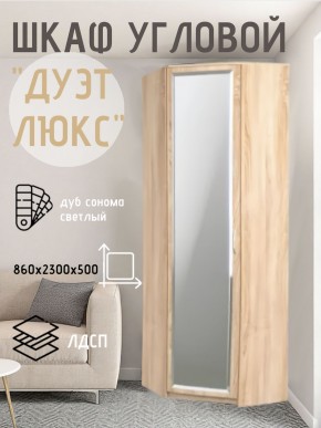 Шкаф угловой Дуэт Люкс с зеркалом в Нижнекамске - nizhnekamsk.mebel24.online | фото