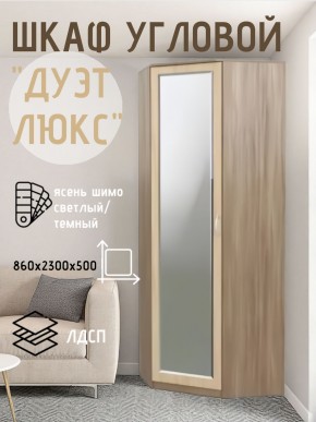 Шкаф угловой Дуэт Люкс с зеркалом в Нижнекамске - nizhnekamsk.mebel24.online | фото 3