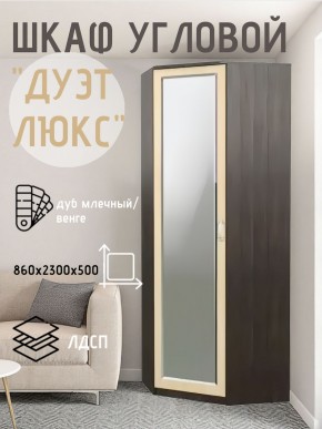 Шкаф угловой Дуэт Люкс с зеркалом в Нижнекамске - nizhnekamsk.mebel24.online | фото 5