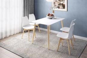 СКАНДИ 1 Стол обеденный в Нижнекамске - nizhnekamsk.mebel24.online | фото 1