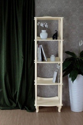Стеллаж Джульетта 4 в Нижнекамске - nizhnekamsk.mebel24.online | фото 7