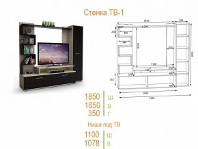 Стенка для гостиной ТВ-1 в Нижнекамске - nizhnekamsk.mebel24.online | фото 2