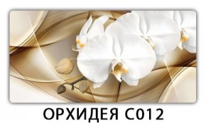 Стол раздвижной Трилогия с фотопечатью Доска D113 в Нижнекамске - nizhnekamsk.mebel24.online | фото 13