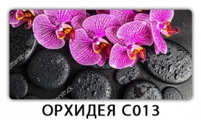 Стол раздвижной Трилогия с фотопечатью Доска D113 в Нижнекамске - nizhnekamsk.mebel24.online | фото 14