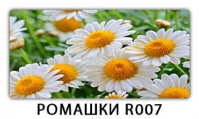 Стол раздвижной Трилогия с фотопечатью Доска D113 в Нижнекамске - nizhnekamsk.mebel24.online | фото 15
