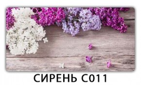 Стол раздвижной Трилогия с фотопечатью Доска D113 в Нижнекамске - nizhnekamsk.mebel24.online | фото 16