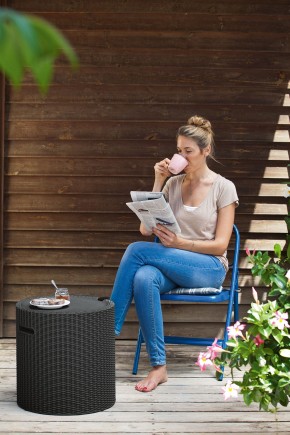 Столик-холодильник Кул-Стул (Cool stool) коричневый в Нижнекамске - nizhnekamsk.mebel24.online | фото 2