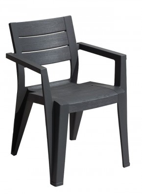 Стул Джули (Julie dining chair) графит в Нижнекамске - nizhnekamsk.mebel24.online | фото