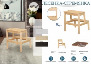 Табурет Стремянка в Нижнекамске - nizhnekamsk.mebel24.online | фото 4